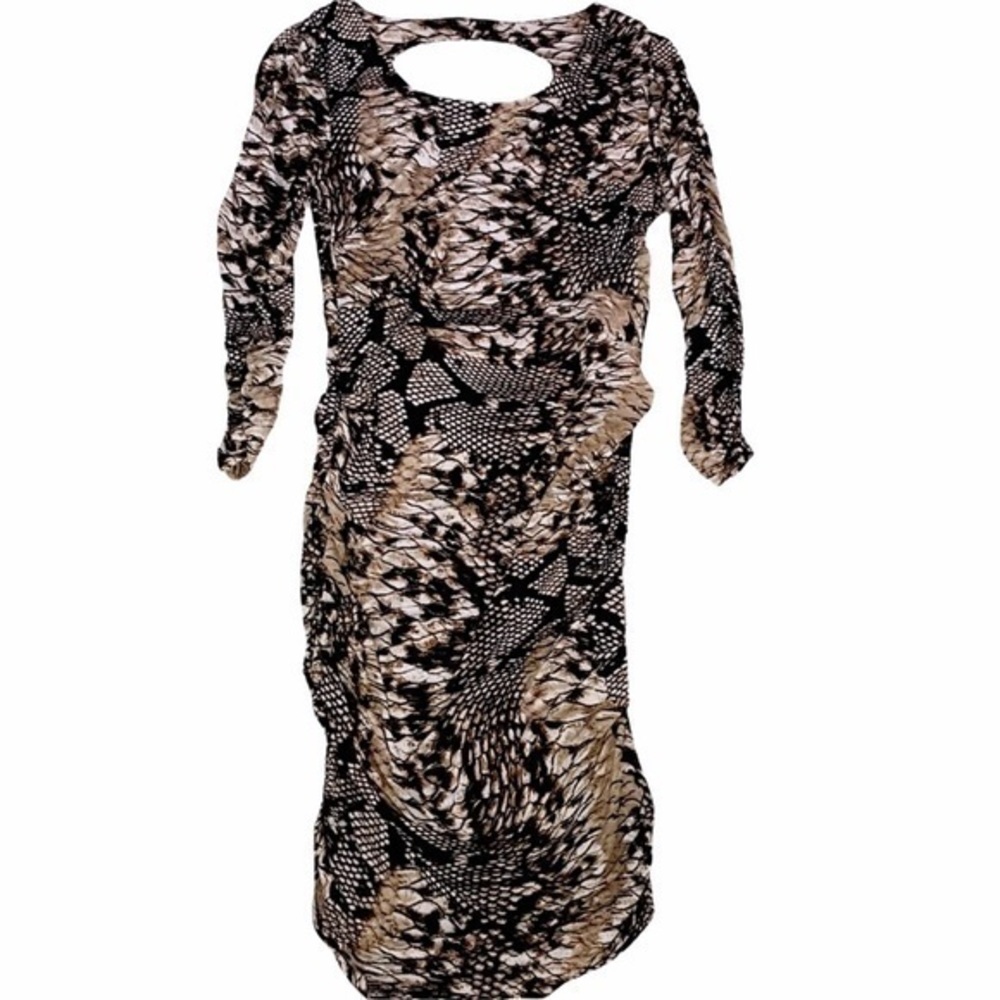 Alison Sheri Animal Print Ruched Dress